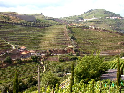 Quinta do Vallado